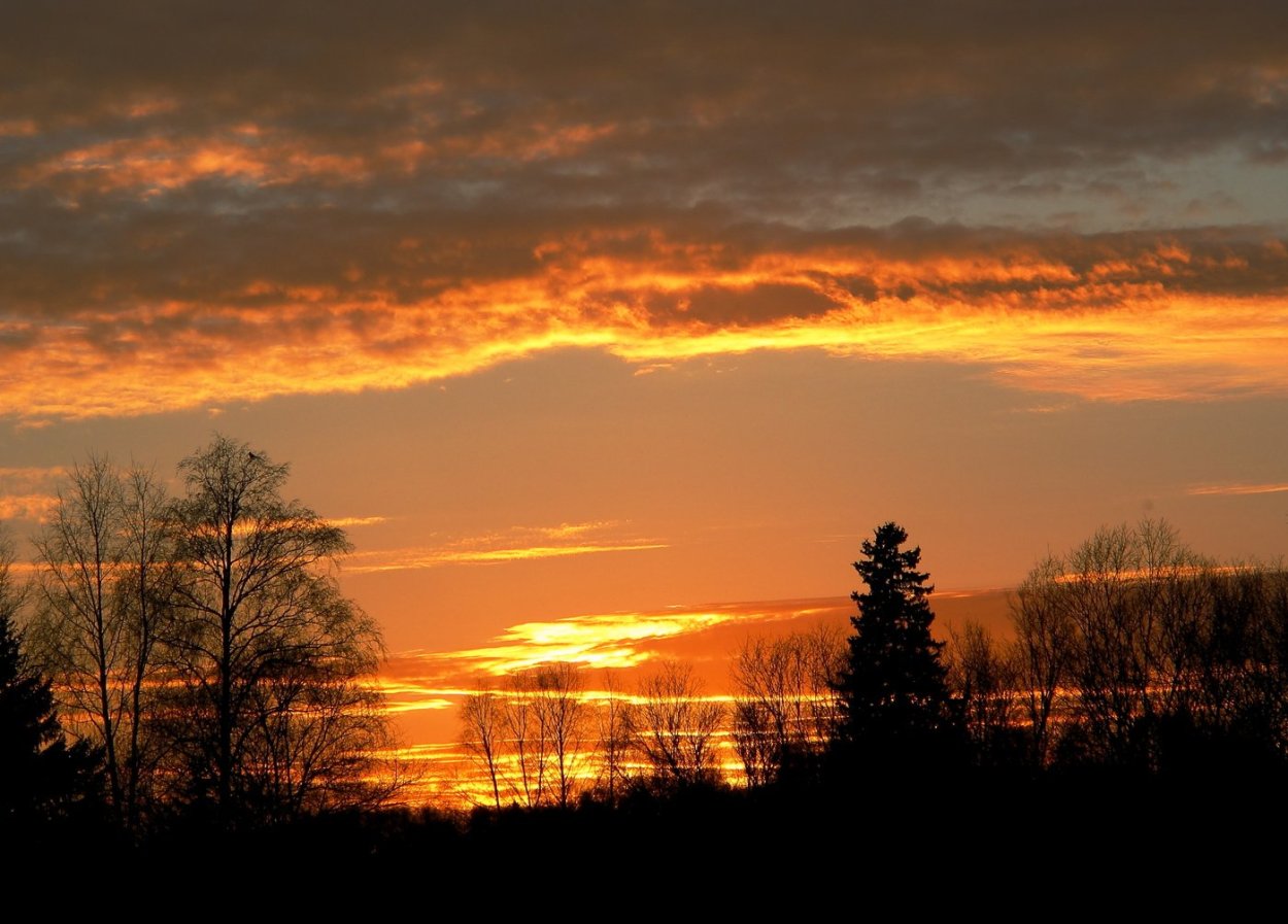 Осень закат