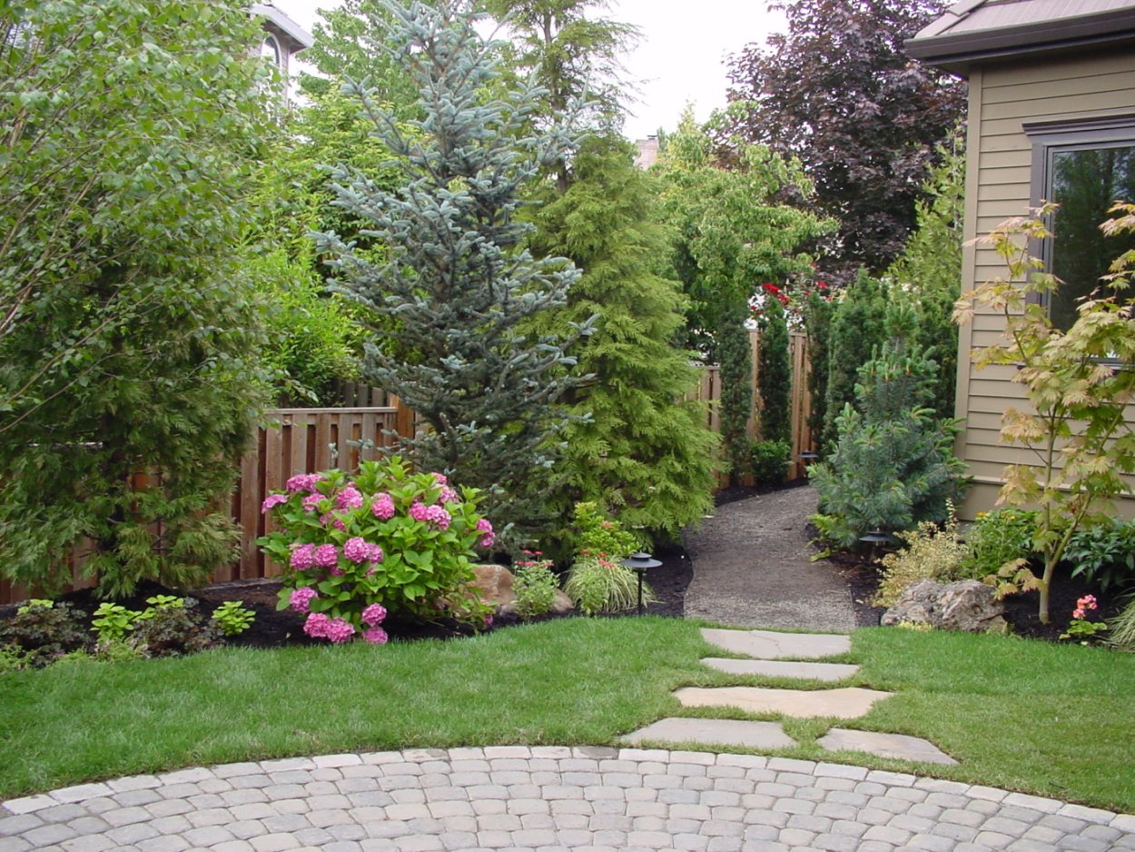 Композиции с лиственницей Пендула