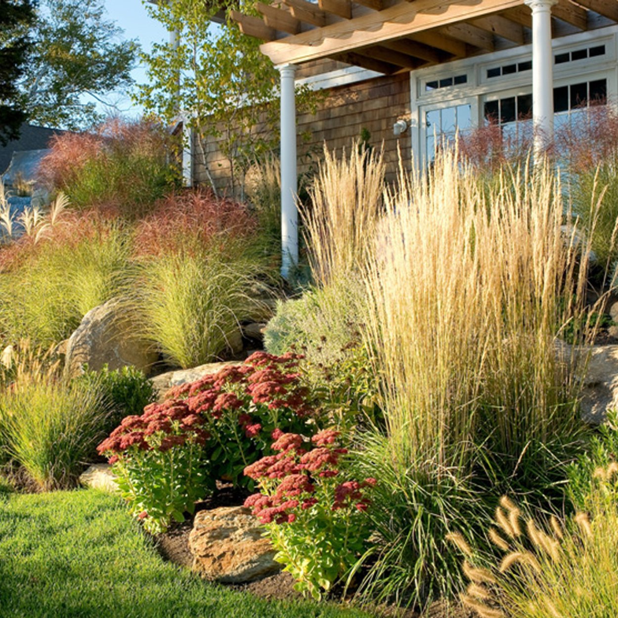 Мискантус сорановский