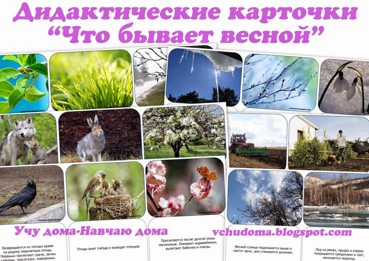Дидактические карточки Весна