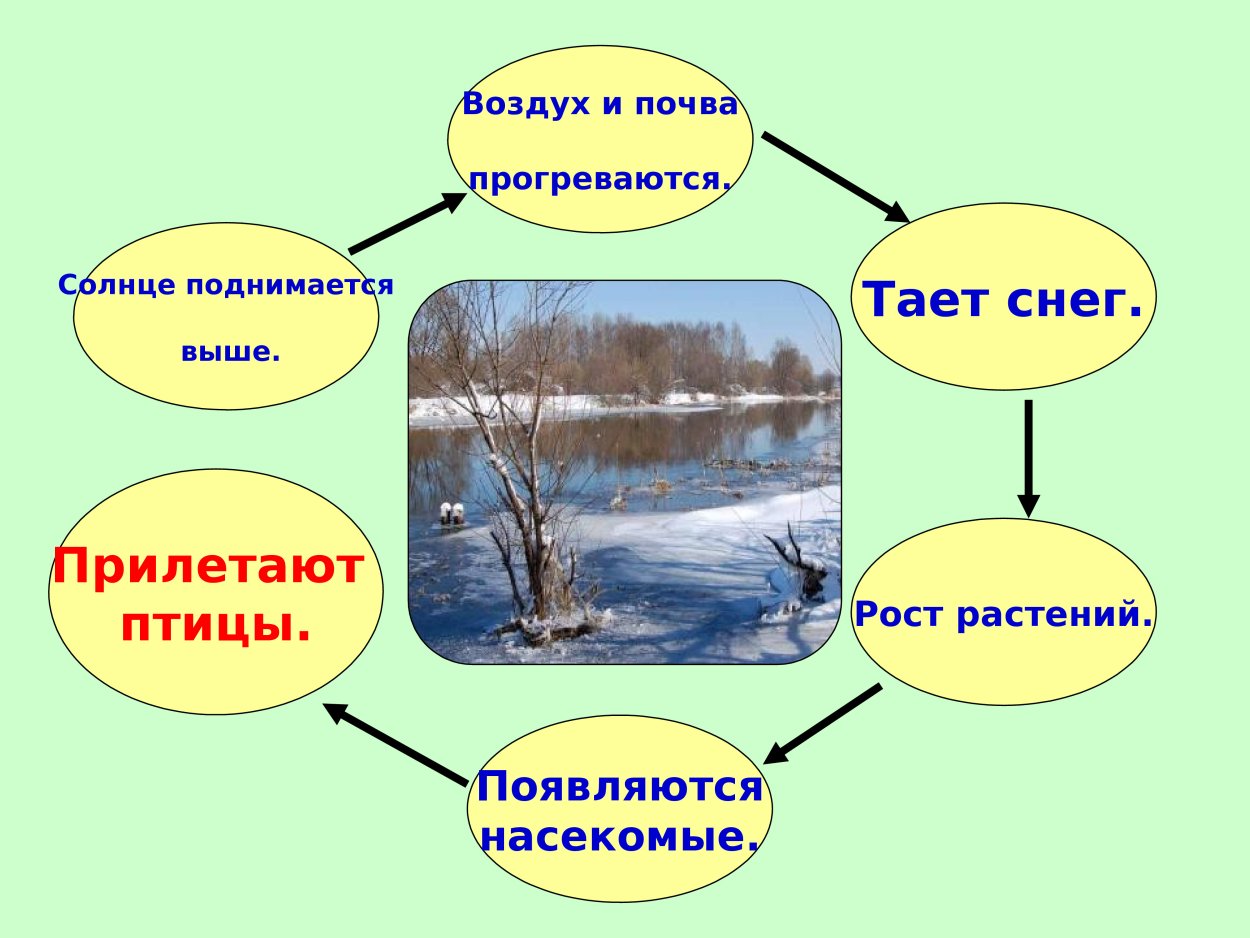 Изменения в природе весной