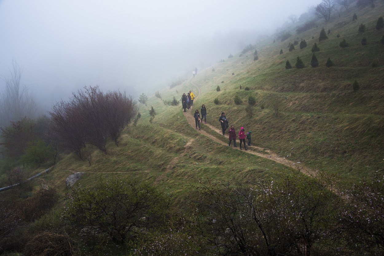 Заповедник Сукок в Таш области