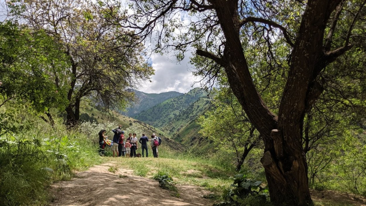 Пейзаж Сукок Токмин
