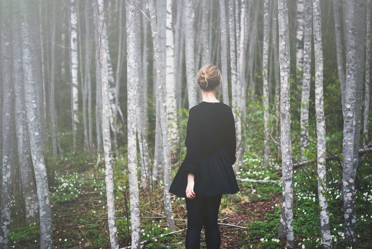 Прогулка в хвойном лесу