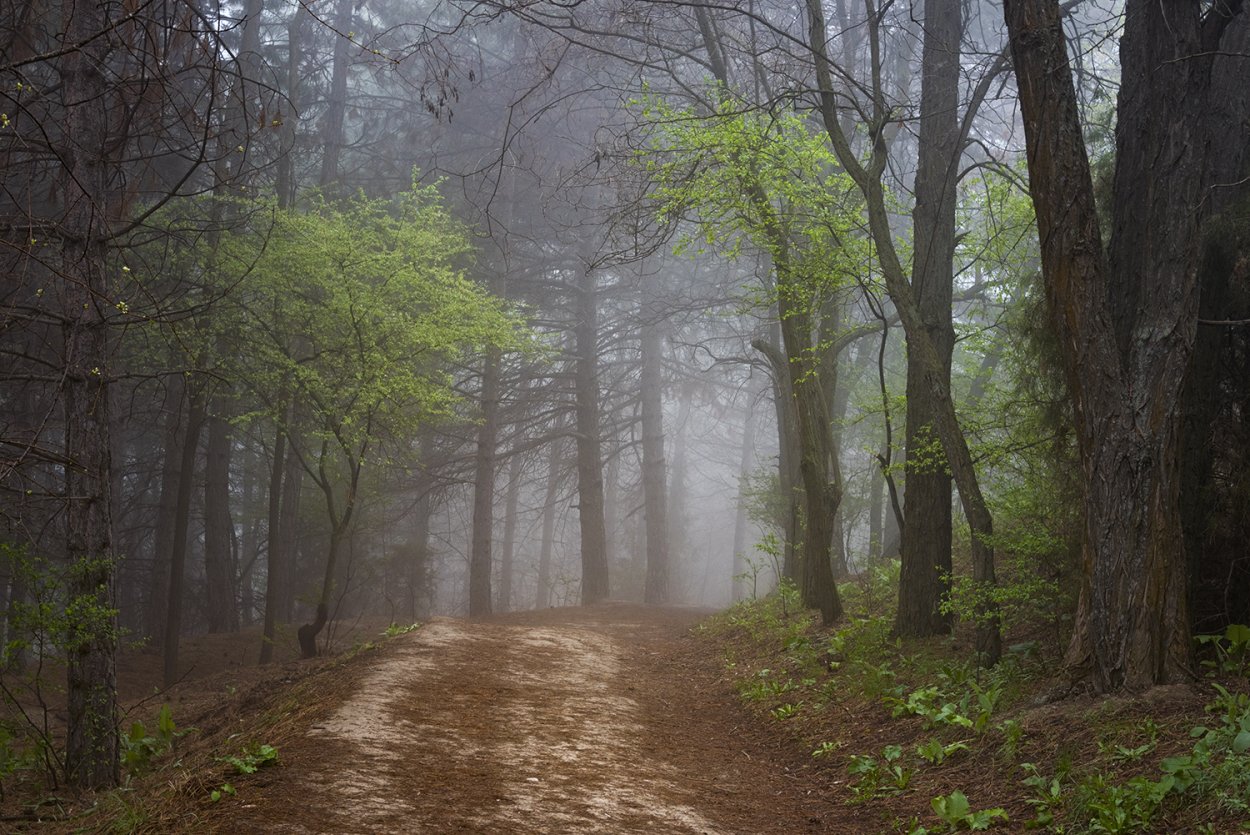 Заповедник Сукок