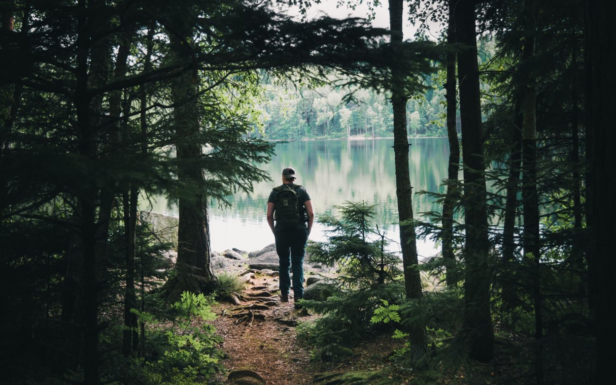 Девочка в лесу спиной