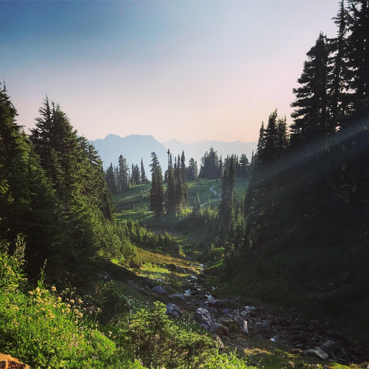 Парень в лесу со спины