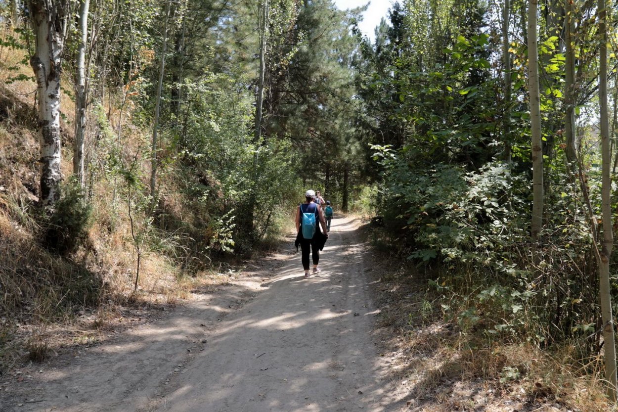 Человек в лесу зимой