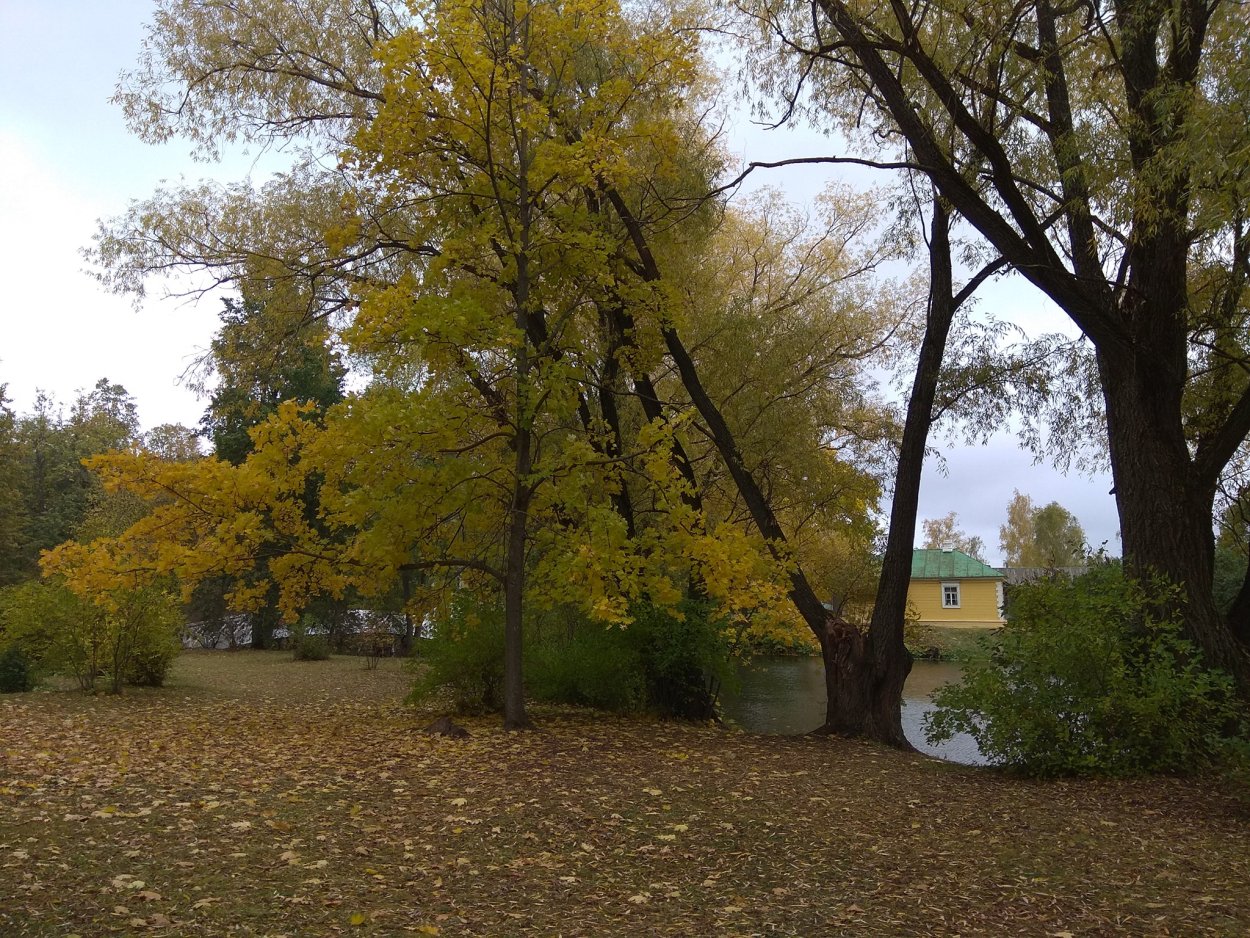 Пушгоры осень Михайловское