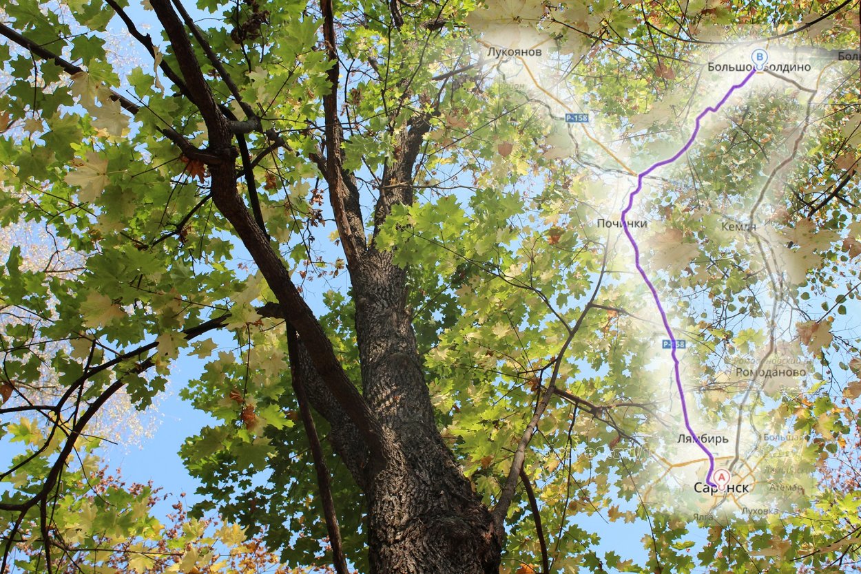 Парк Золотая осень Пушкинские горы