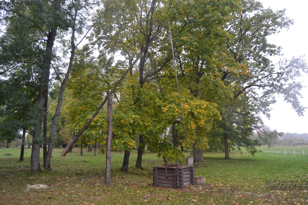 Дуб черешчатый осень