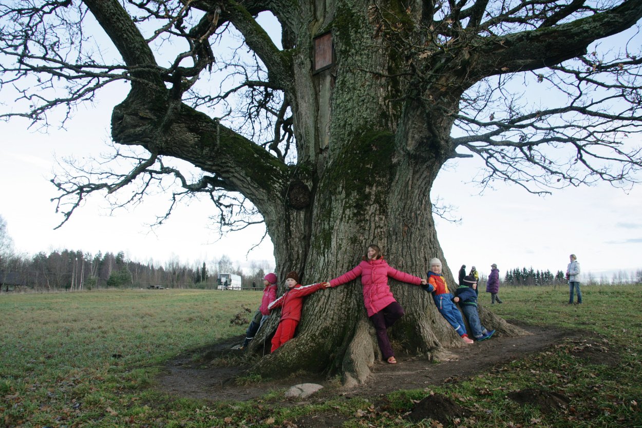 Обои на экран осень Болдино