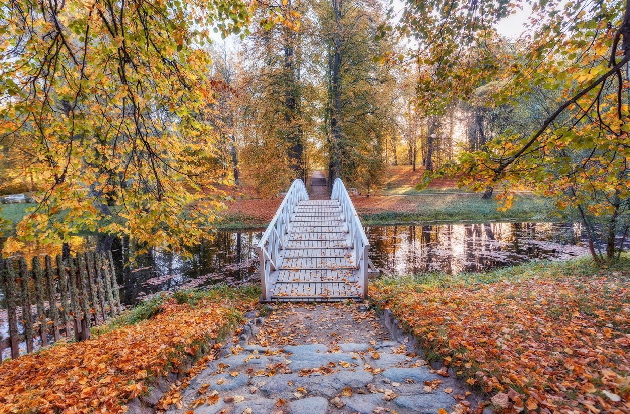 Пушгоры осень Михайловское