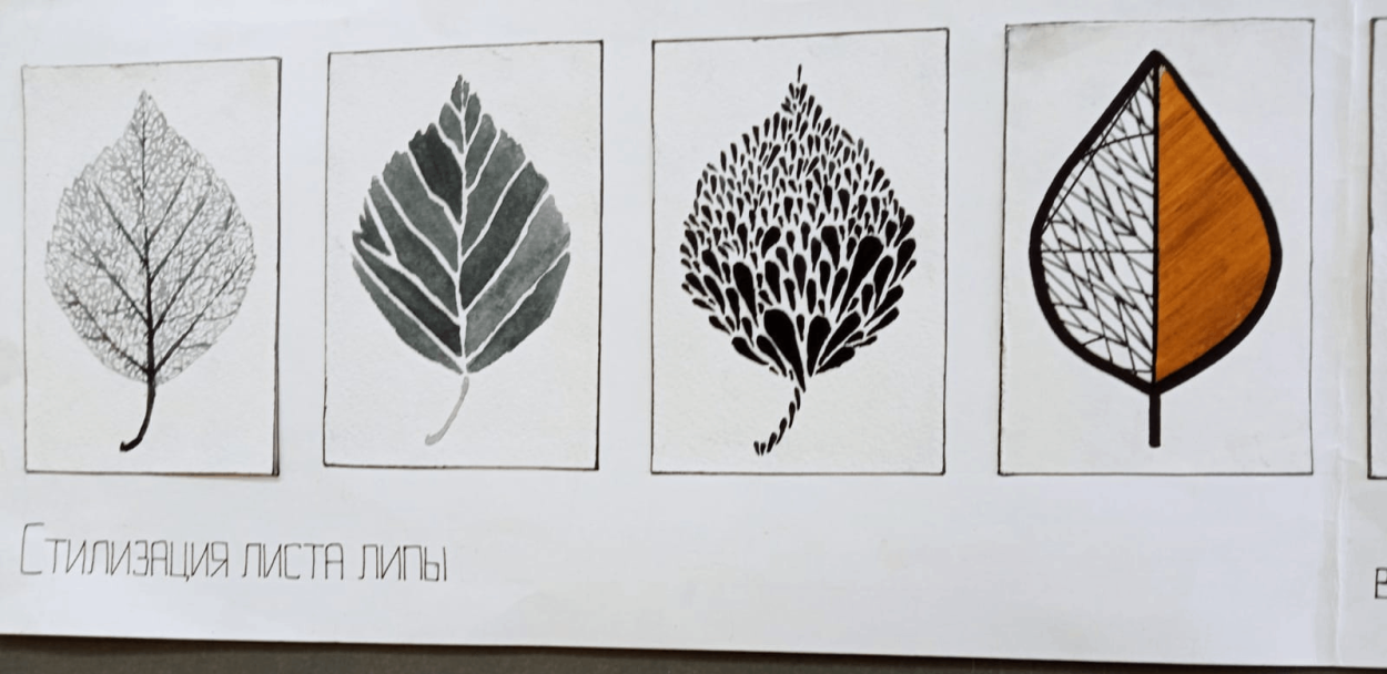 Листья деревьев с названиями