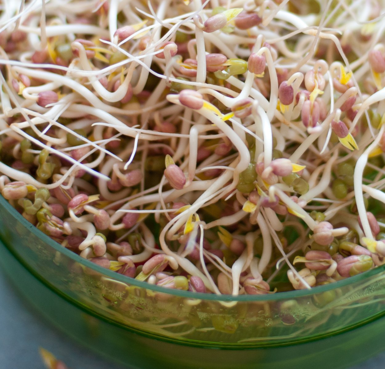 Пророщенные ростки