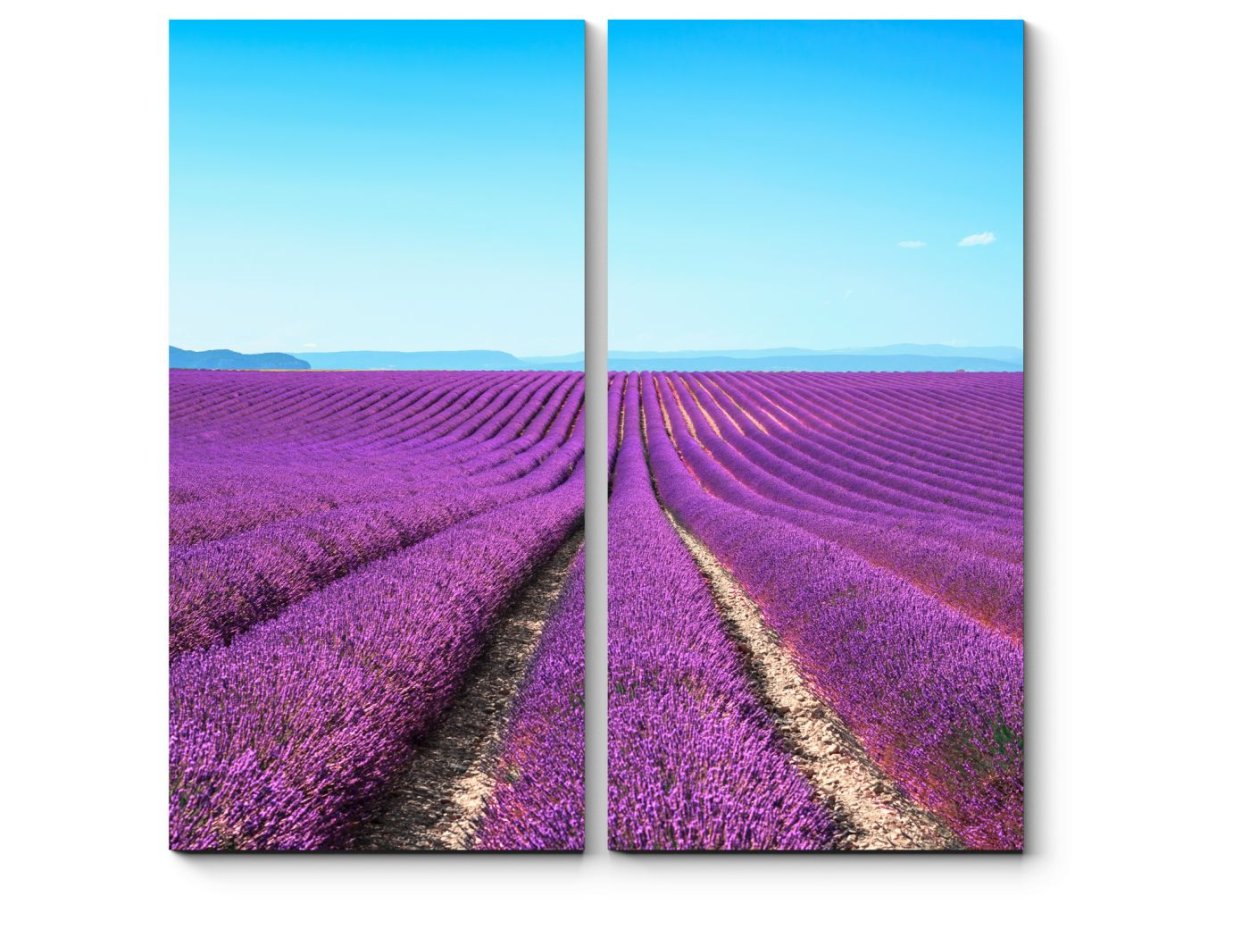 Долина Лефкадия Краснодарский край Лавандовое поле