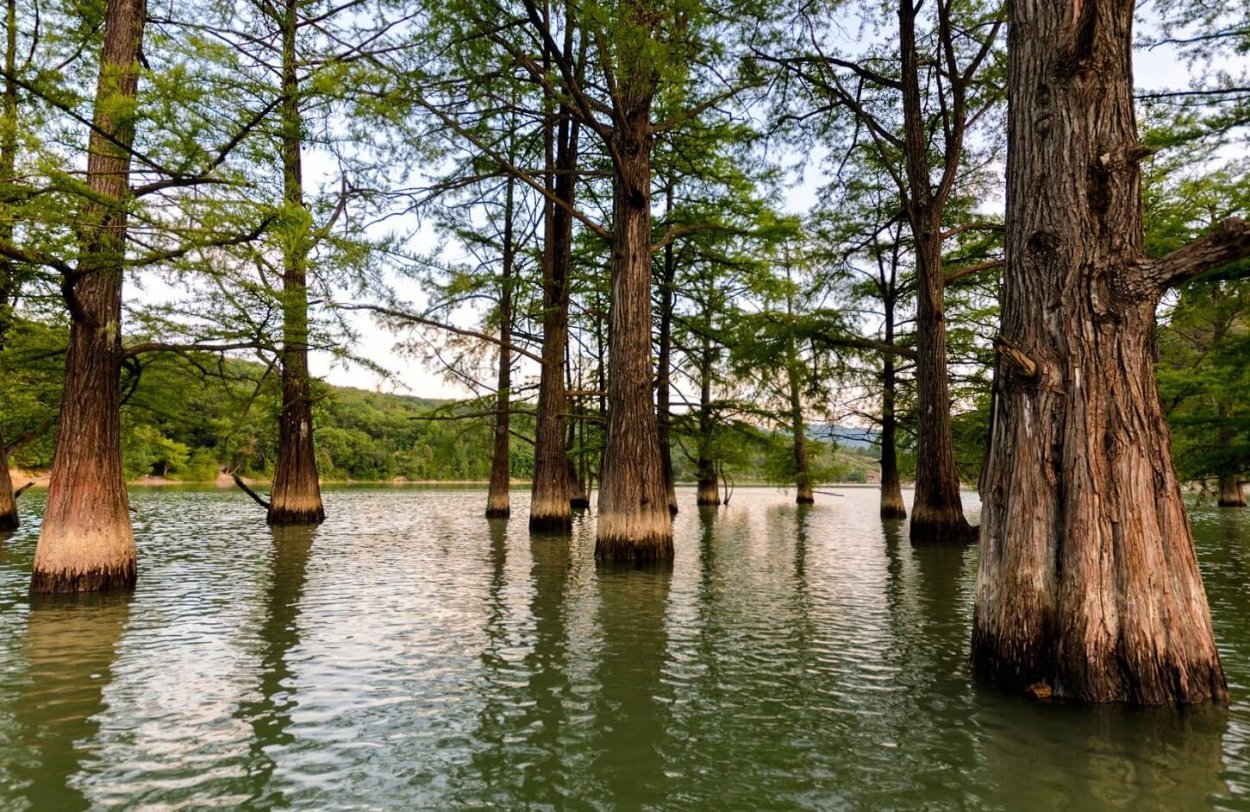 Кипарисовое озеро в Анапе