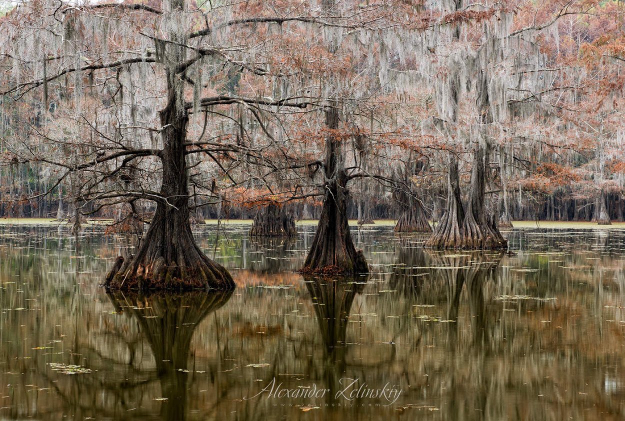 Кипарисовое озеро в Анапе