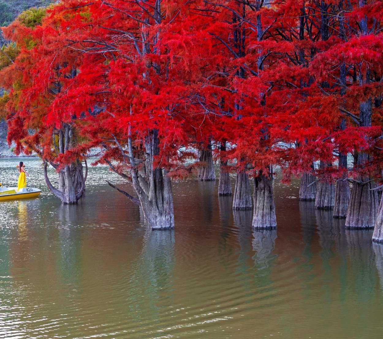 Кипарисовое озеро Абрау Дюрсо