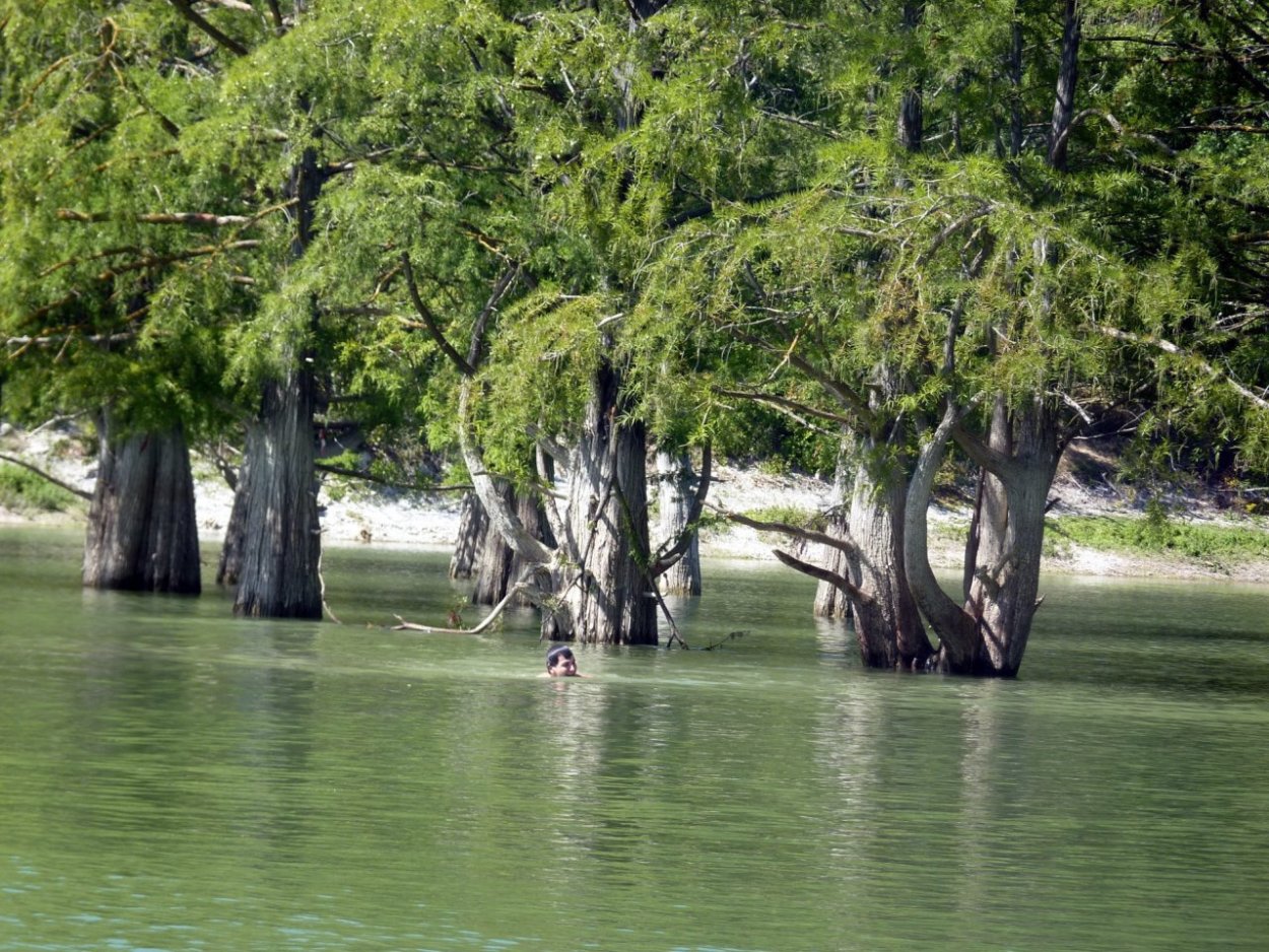 Мангровые леса Флориды