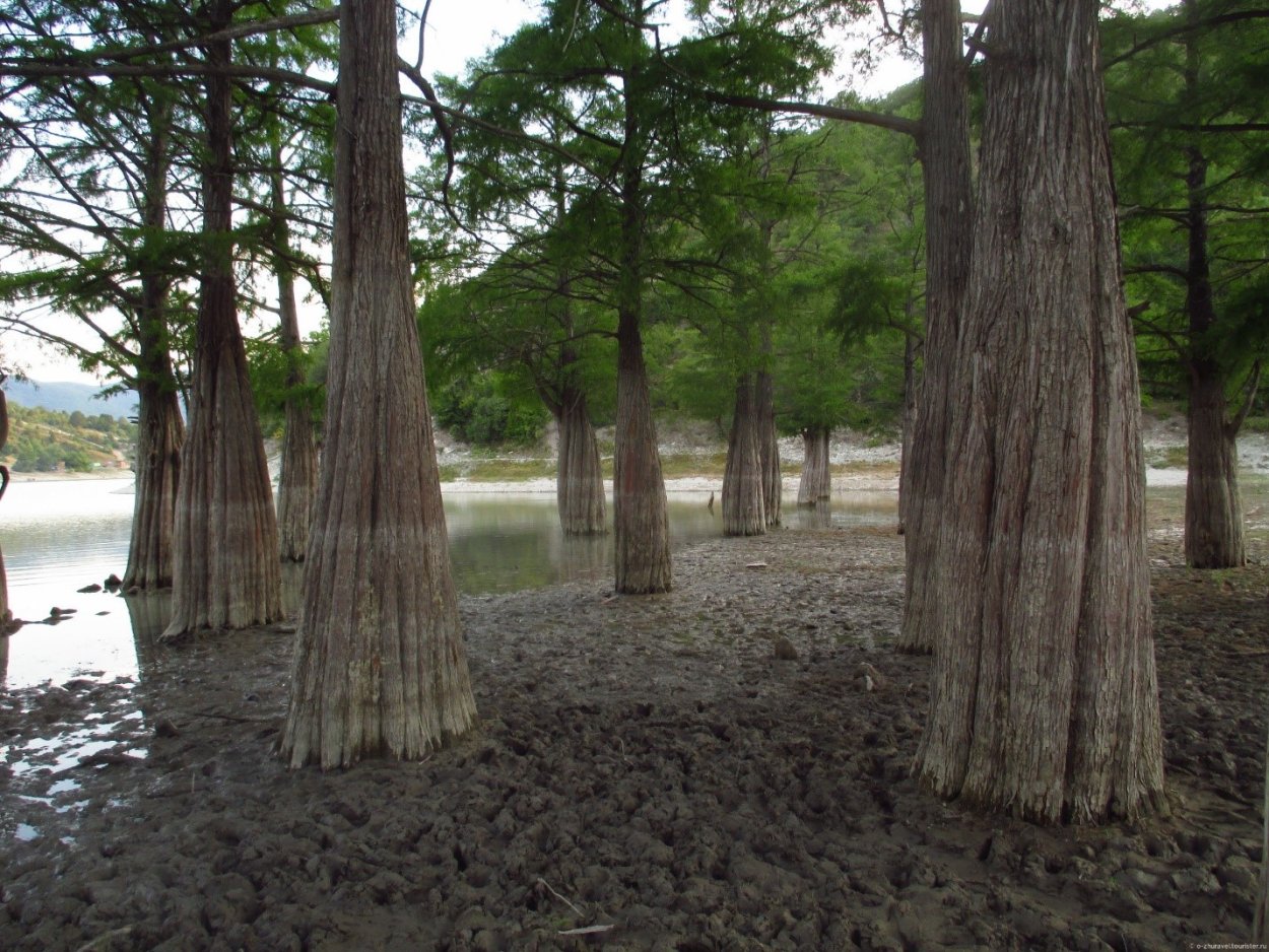 Кипарисовое озеро Сукко