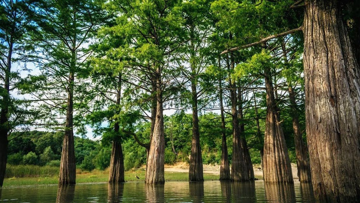 Джиппинг Анапа Кипарисовое озеро