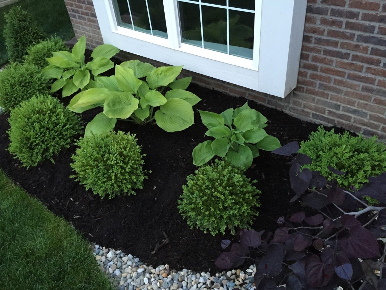 Миксбордер гортензия Хоста астильба