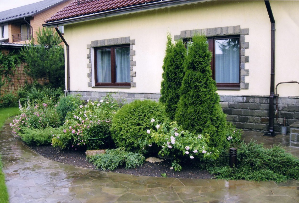 Клематис и гортензия в ландшафте