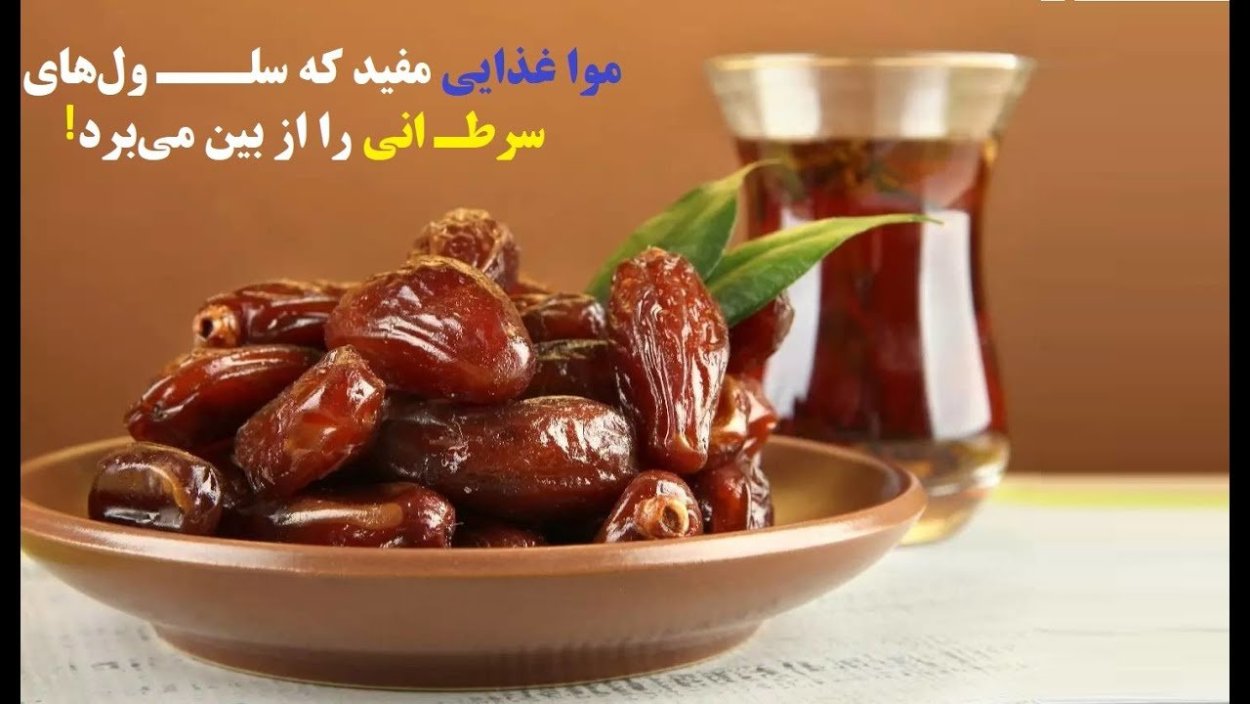 Финиковое дерево Аджва