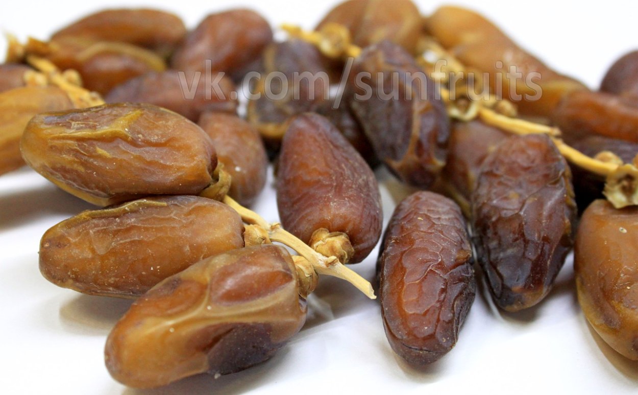 Date Palm