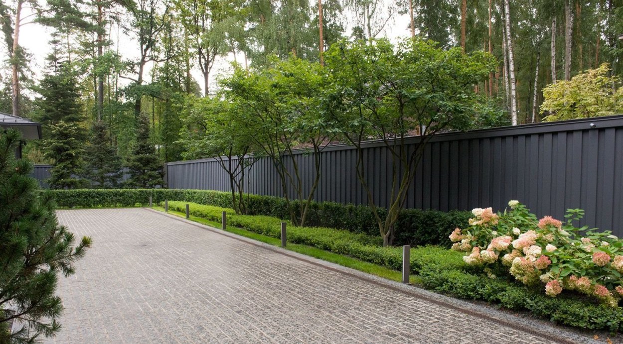 Насаждения вдоль забора