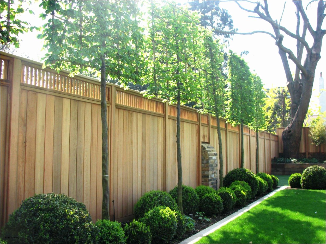 Однопородная Живая изгородь