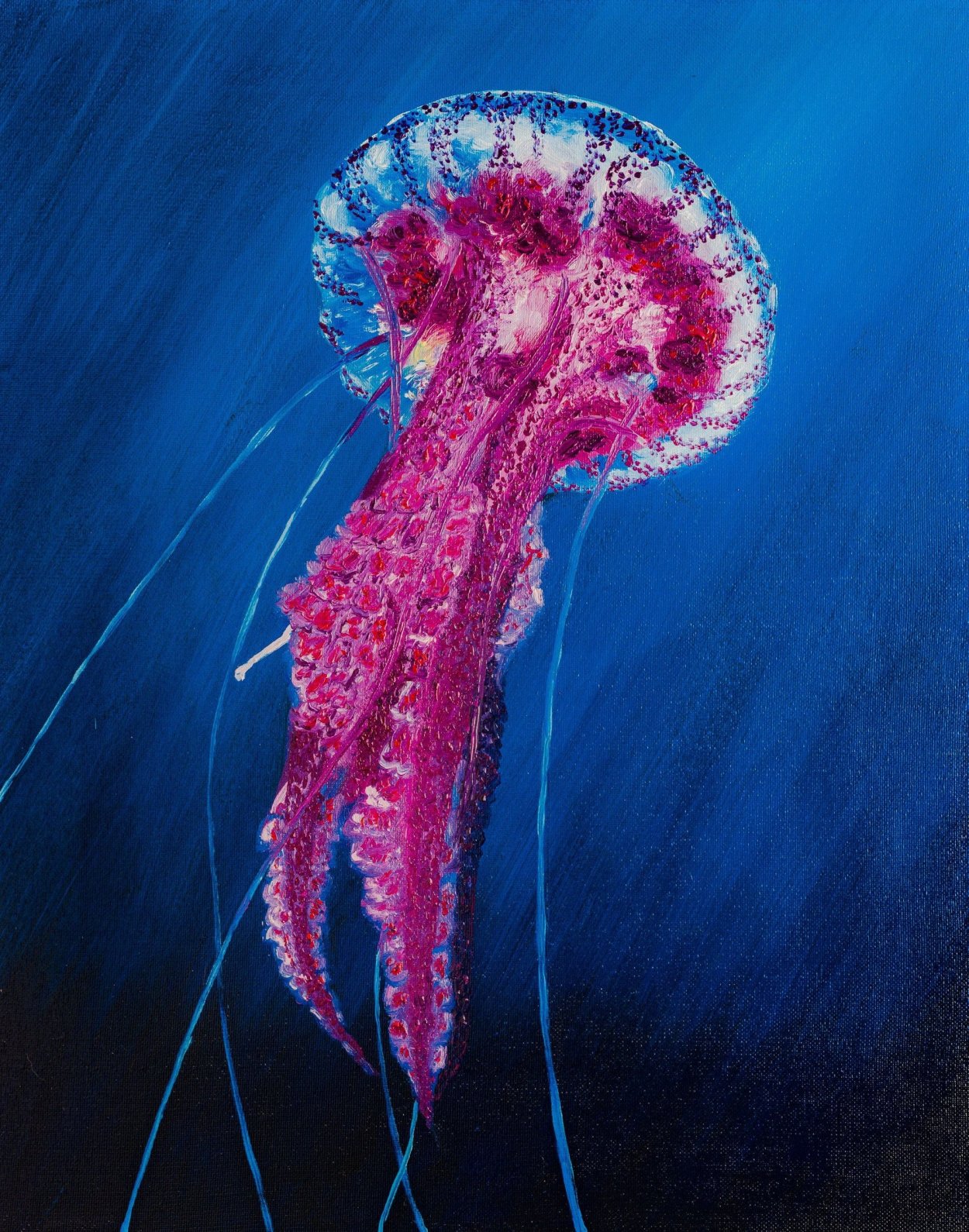 Сцифоидные медузы розовые