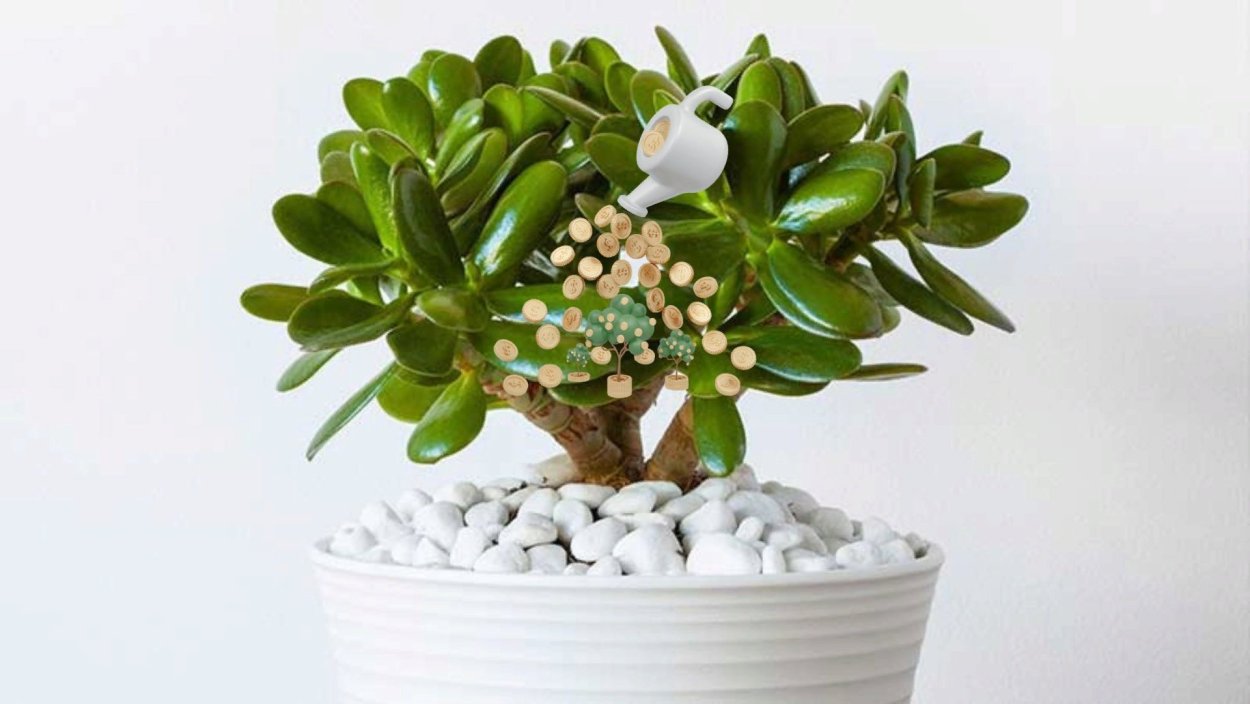 Пилея пeпeрoмиевидная