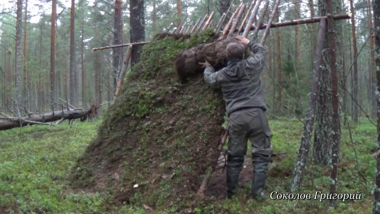 Навес в лесу для выживания