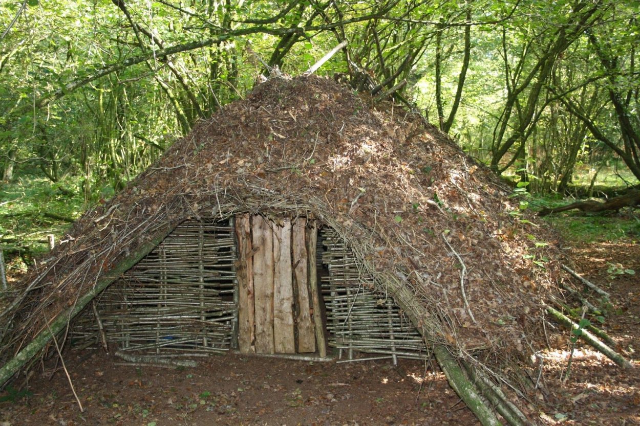 Бушкрафт жилище