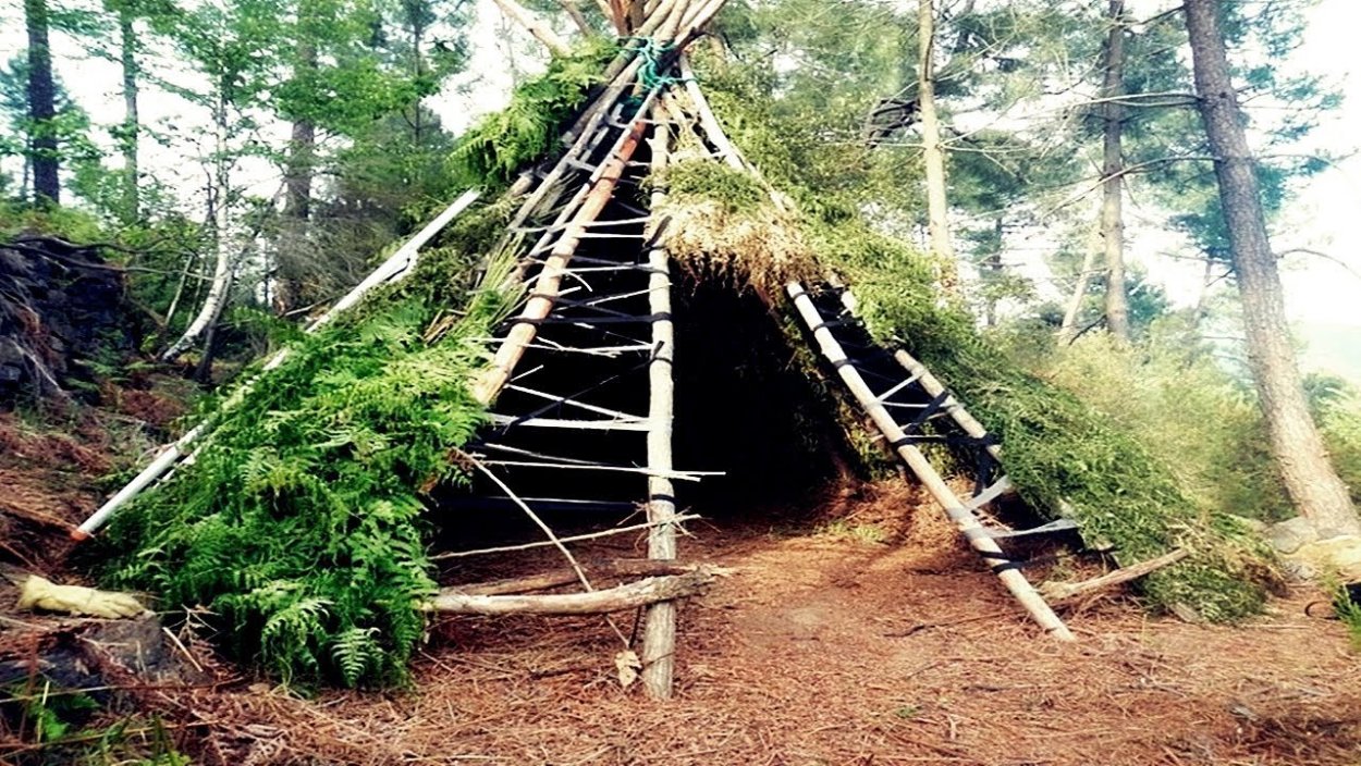 Шалаш вигвам в лесу