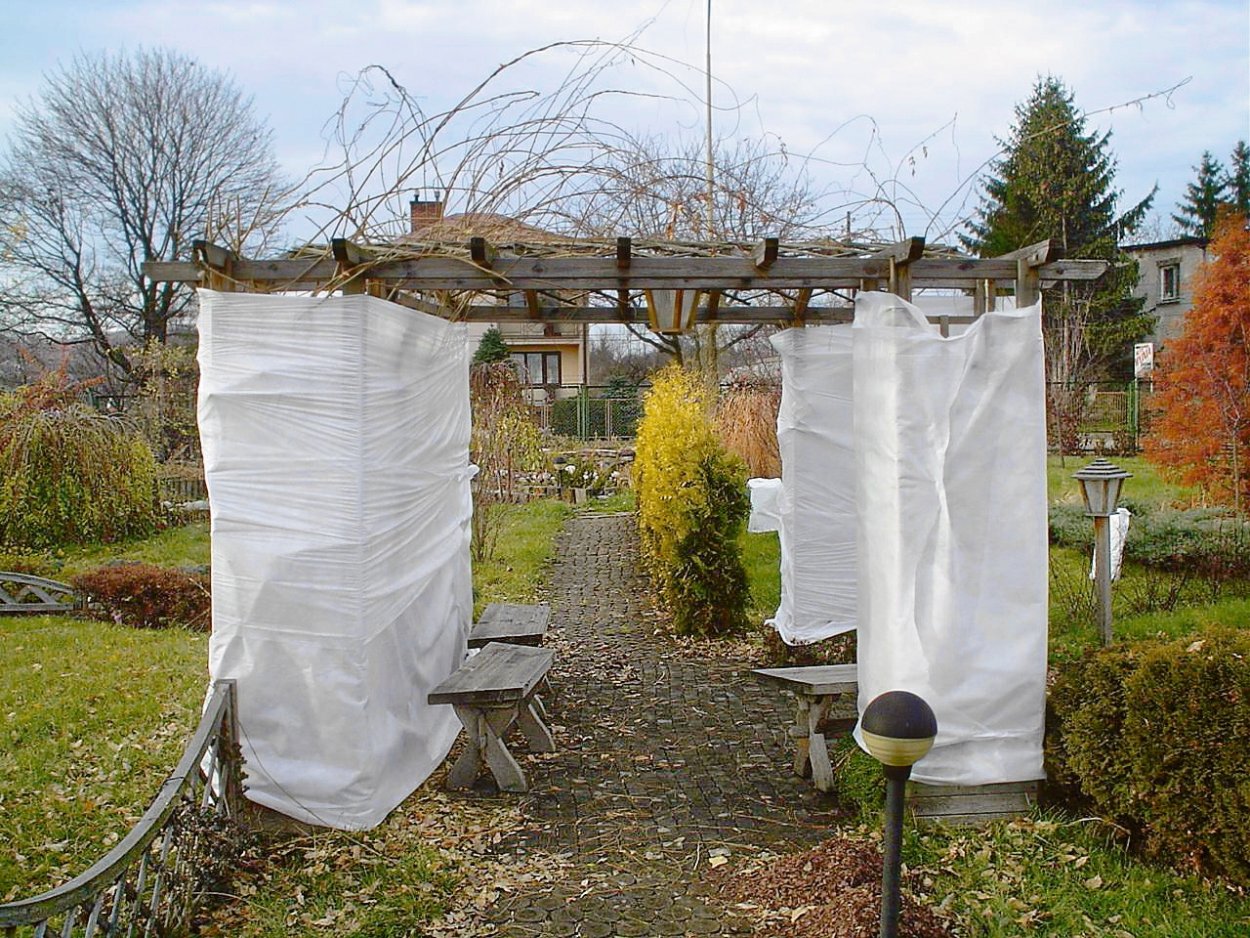 Зимнее укрытие плодовых деревьев