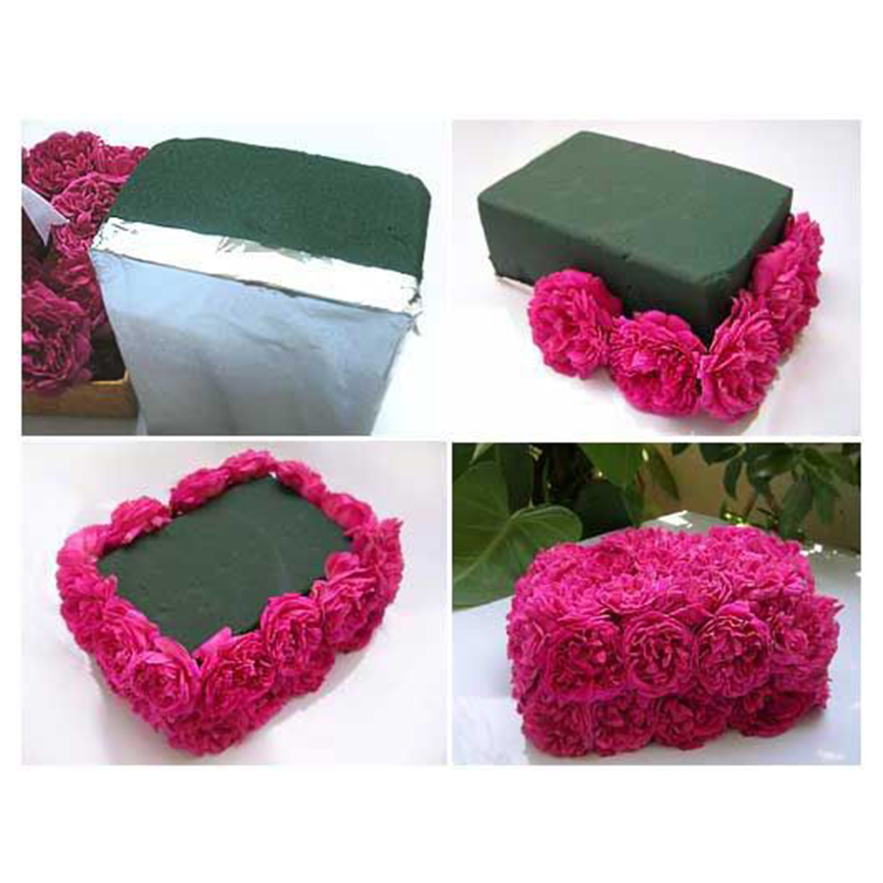 Композиции с папоротником