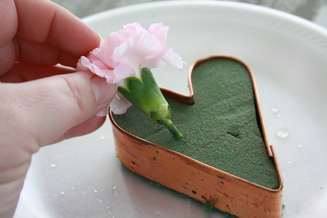 Цветы в губке