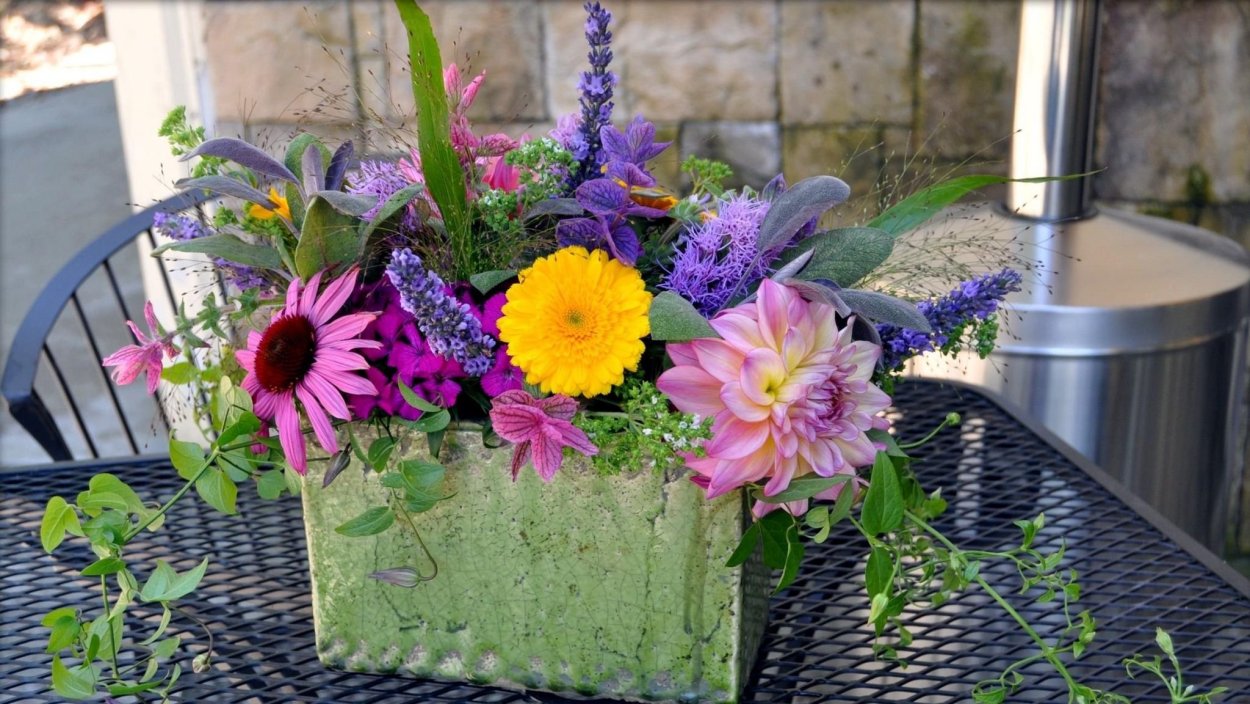 Эхинацея цветок в букете