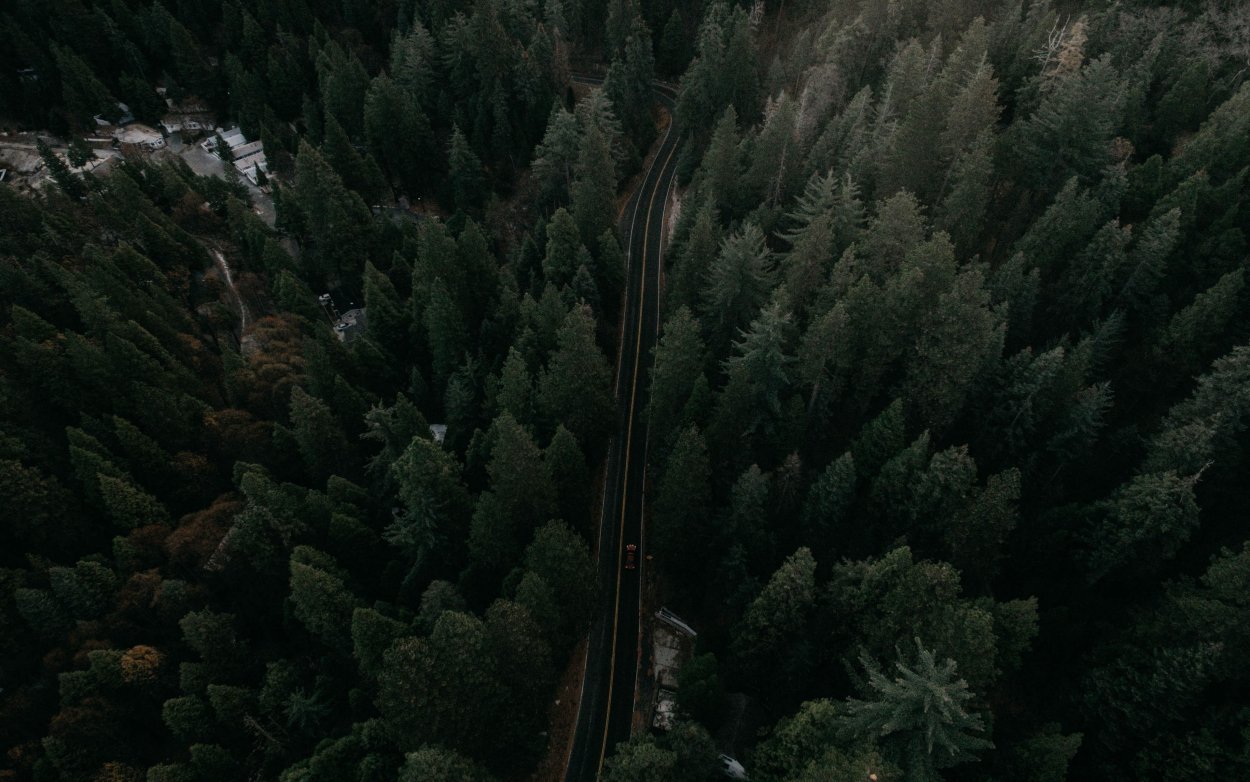 Дорога и лес вид сверху сбоку
