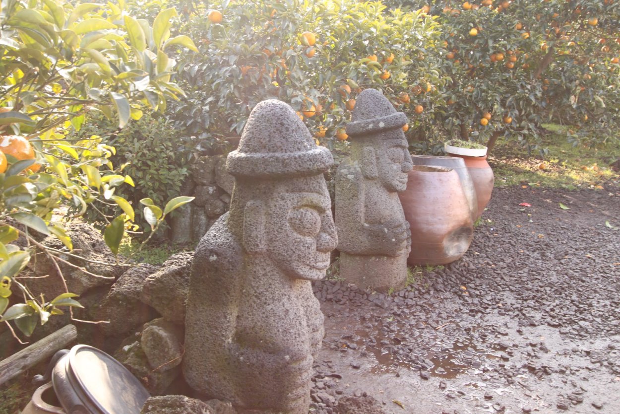 Мандариновые плантации в Китае