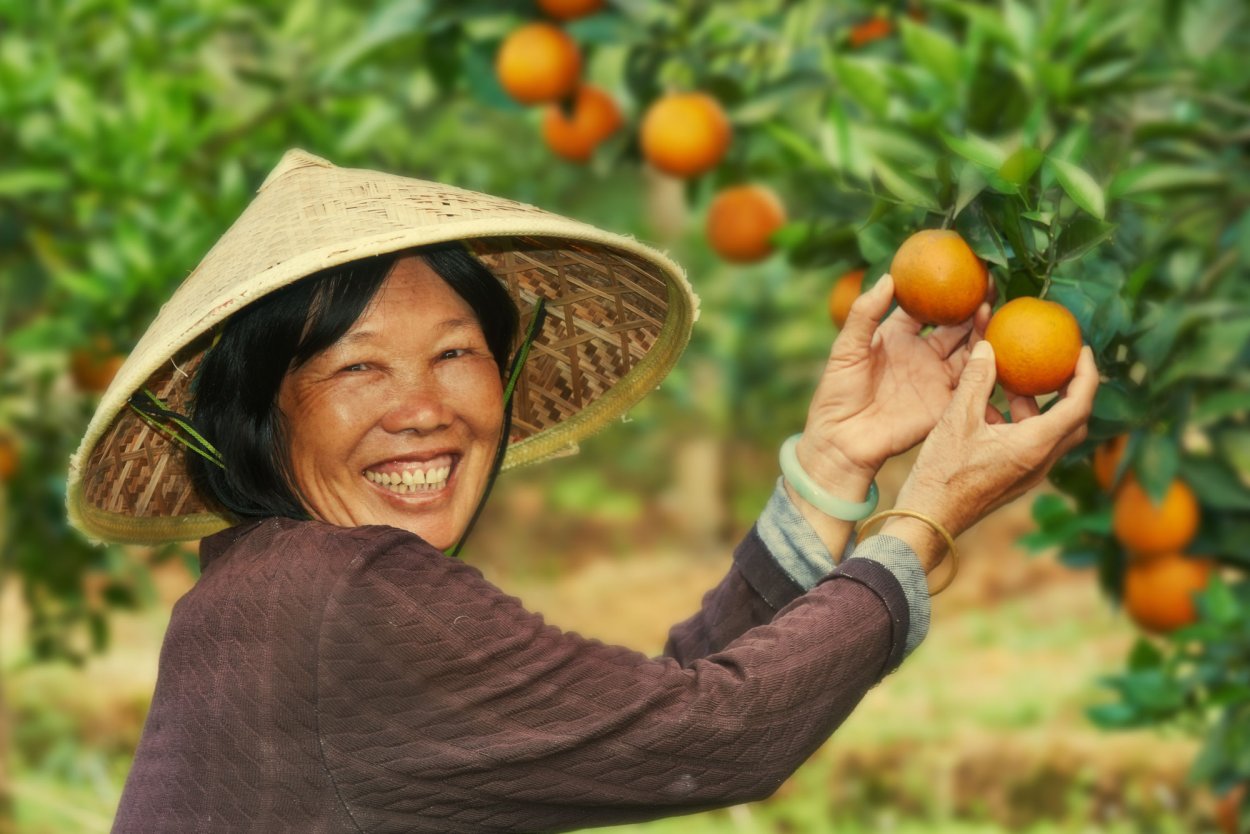 Чеджу Южная Корея