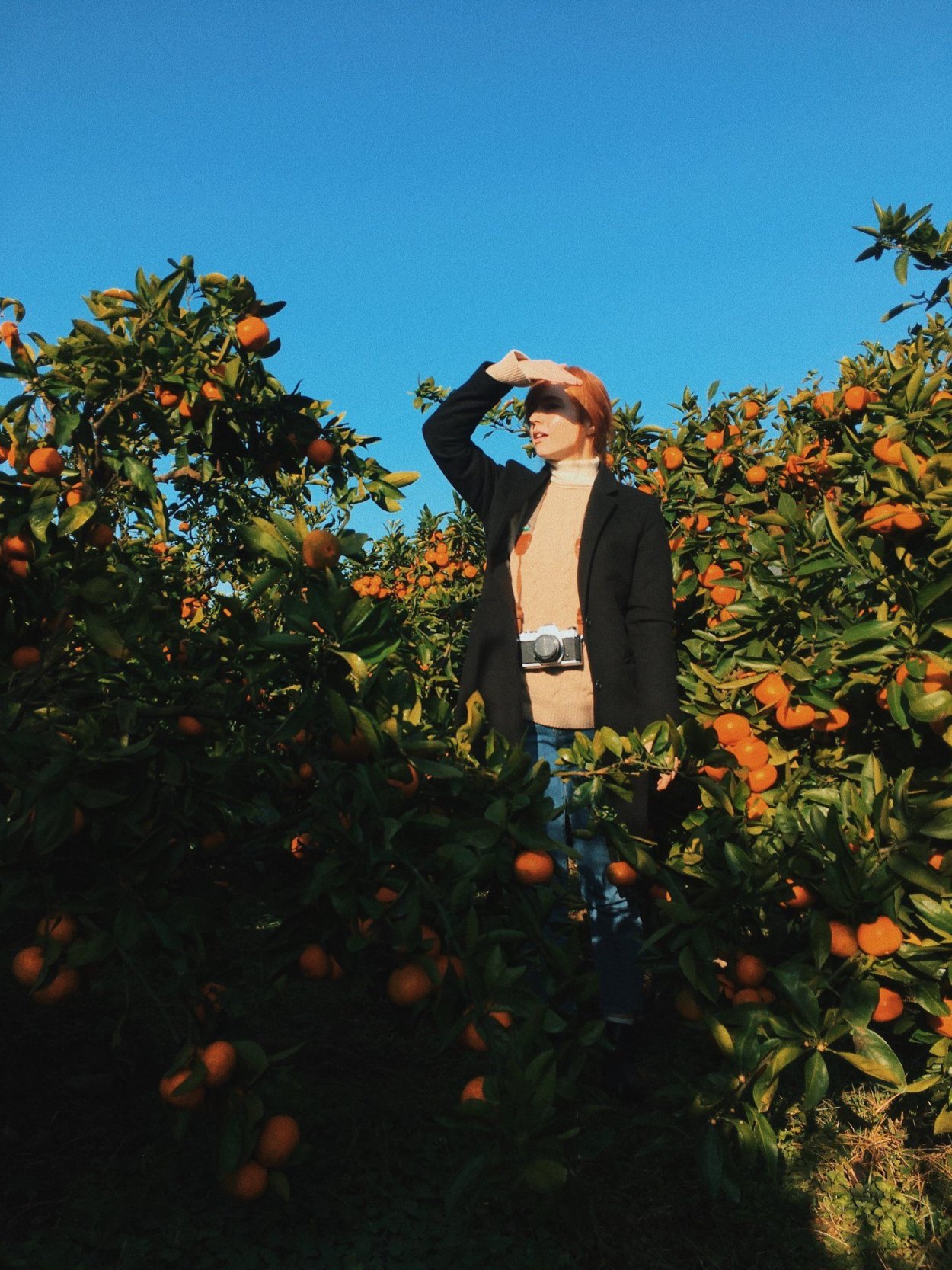 Tangerines Gardens girl