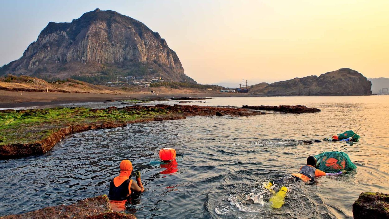 Мандарины новый год