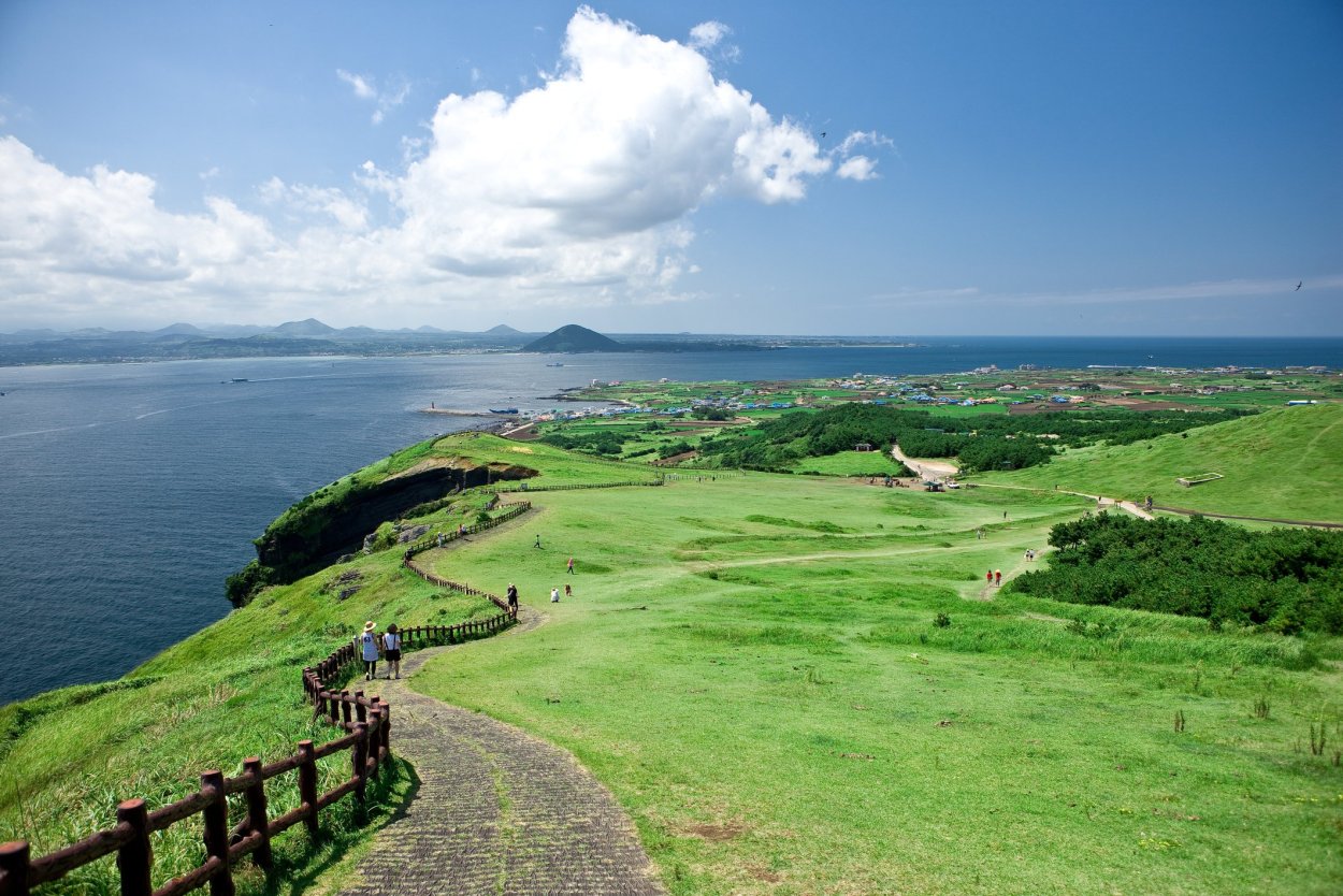 Корейские мандарины с острова Чеджу
