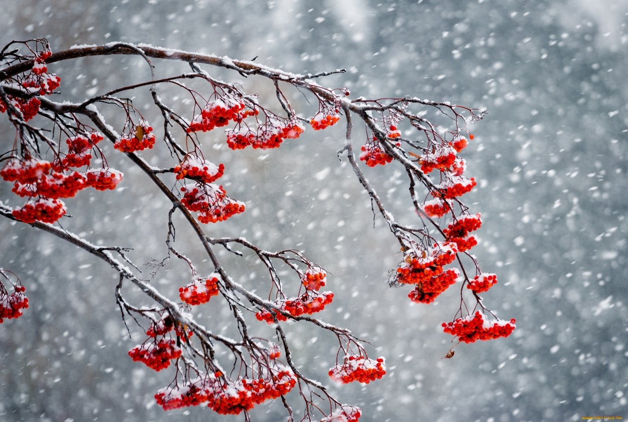 Зима Эстетика