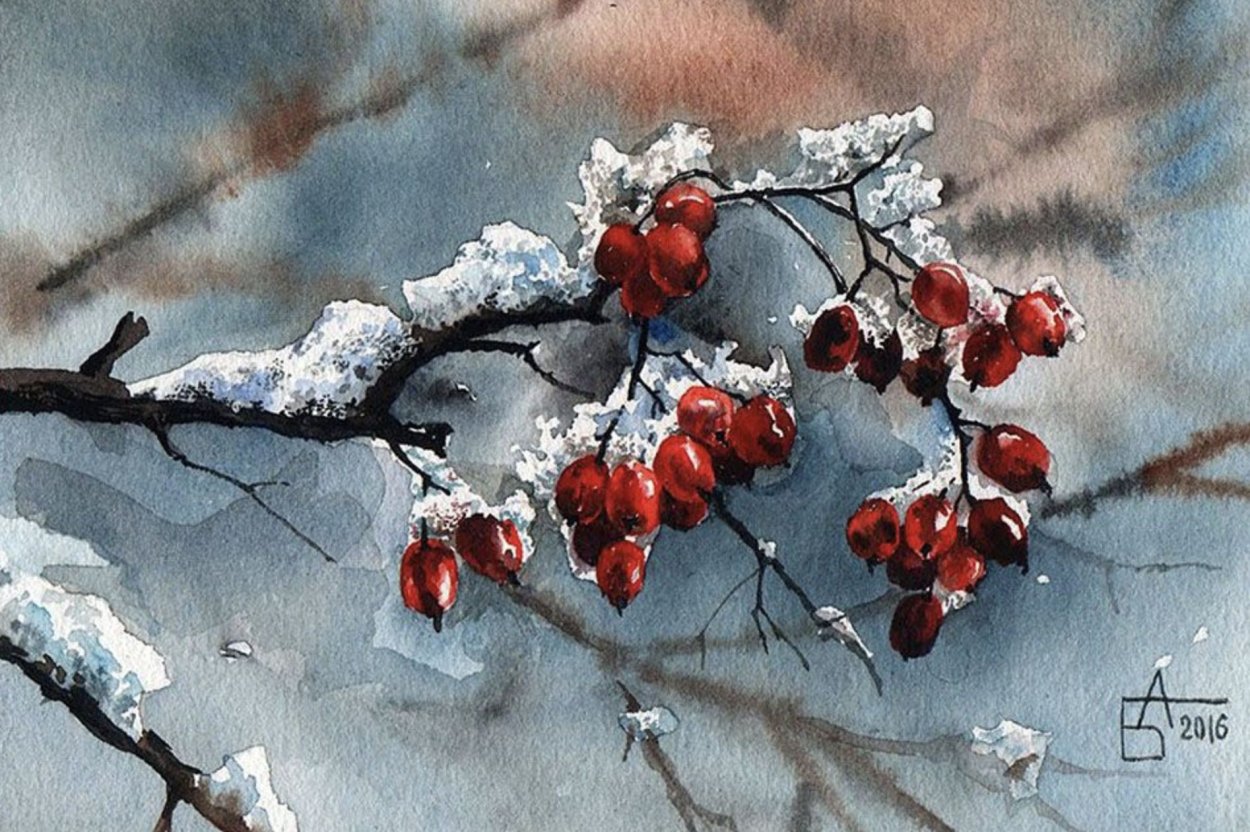 Рябина за окном зимой