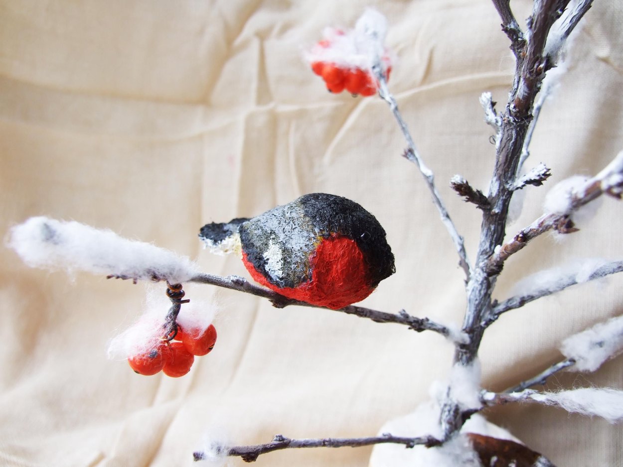 Рябина зимой